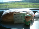 <font color="tan">>>Bucharest</font><BR>1st class train to Brasvo