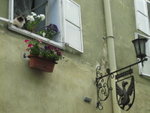 <font color="tan">>>Sighisoara</font><BR>windows