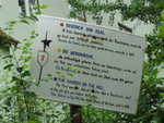 <font color="tan">>>Sighisoara</font><BR>Way to church on the hill�x<br>���P