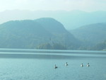 Bled 20