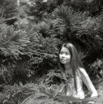 File0246