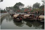 IMG_2964
