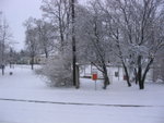 IMG_2547