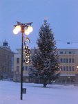 IMG_2568