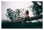 fish_lomo_070318_003b