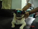 pic 011