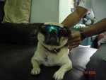 pic 012