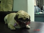 pic 019
