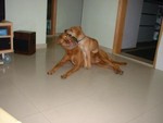 DSCF0014