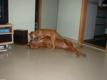 DSCF0016