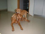 DSCF0017