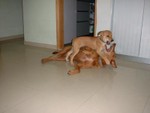 DSCF0019