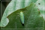 ����1KF0610281