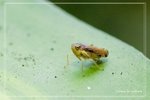 ����2KF0610281