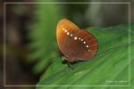 ��]����TPK0704081