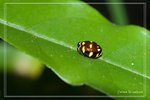 ��]����TPK0607221