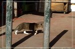 ��ӡA�e���]�h�ۭt��L��... ...