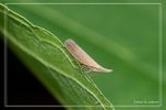 ���F���i����FY0606141