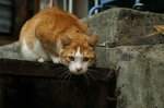 PICT9619