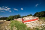 PICT7848