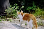 �ߦb�Q�˨F_18