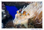 
�p����