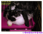 PICT0544