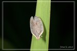 �P��1