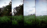 LOMO-02