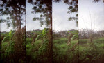 LOMO-03