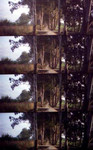 LOMO-05