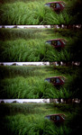 LOMO-06