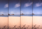 LOMO-22