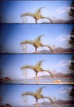 LOMO-25