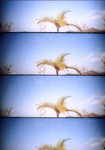 LOMO-28