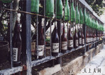 �j�D-11