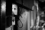 DSC4761s
