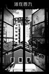 DSC_7879s