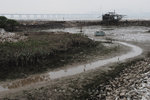 DSC0480s