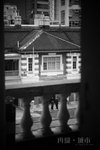 DSC_6665s