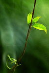 DSC_9989s