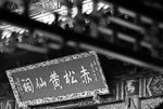 DSC_2147s
