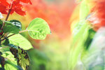 DSC_9072s