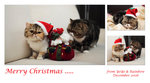 06xmas_card