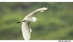 7Y2I4560