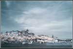 IMG_7461
