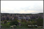Stone_Forest_HDR2