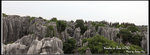 Stone_Forest_Panorama2