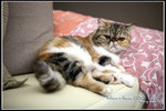 DPP_0030_web