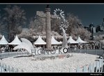 IMG_7378